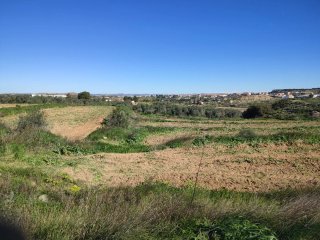Campo Finca Rústica en Venta