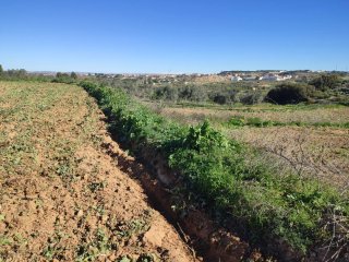 Campo Finca Rústica en Venta