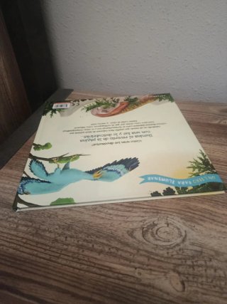 DINOSAURIOS. UN LIBRO PARA ILUMINAR