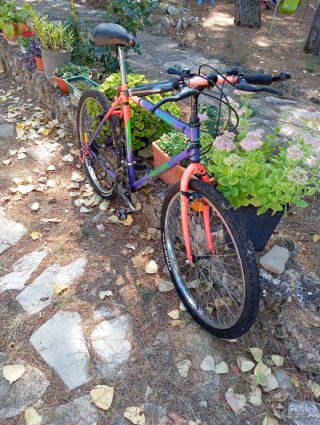 Bicicleta Montaña y Paseo