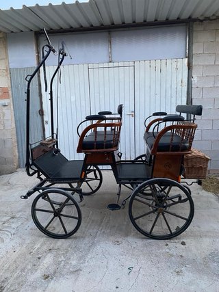 Carro para pony. Faetón Siamés