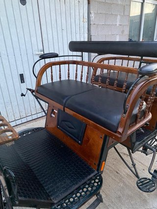 Carro para pony. Faetón Siamés