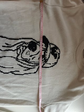 Jersey Zara Talla M Perro Dibujo
