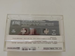 Led Zeppelin In The Evening. Bootleg . Collector !