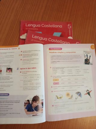 Lengua castellana, 5 Primaria