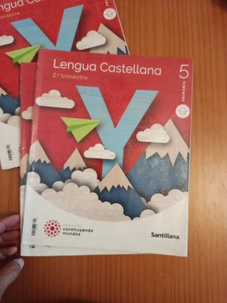 Lengua castellana, 5 Primaria