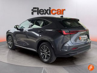 Lexus NX 350h Business City 2WD