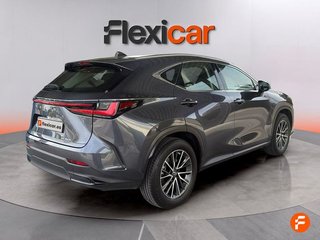 Lexus NX 350h Business City 2WD