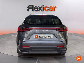 Lexus NX 350h Business City 2WD