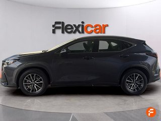 Lexus NX 350h Business City 2WD