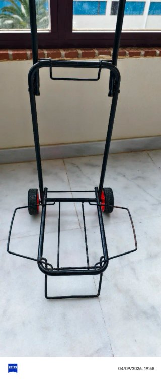 Carrito carga