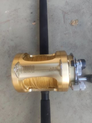2 Carretes Shimano Tiagra 50W LSR y 2 Cañas