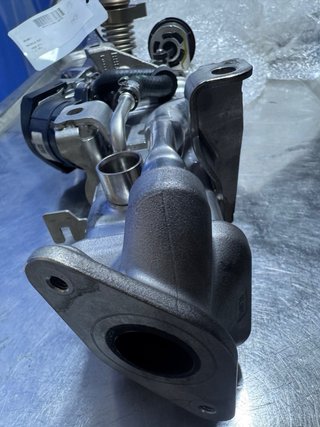 Válvula EGR BorgWarner BMW
