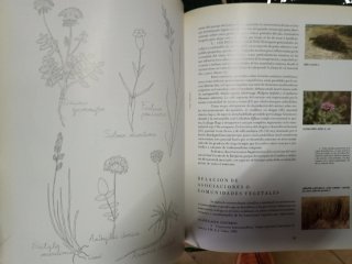 Libro CANTABRIA OYAMBRE ESPACIO NATURAL