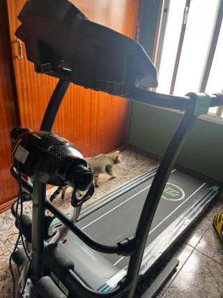 Cinta de correr Cecotec Dynamic Speed
