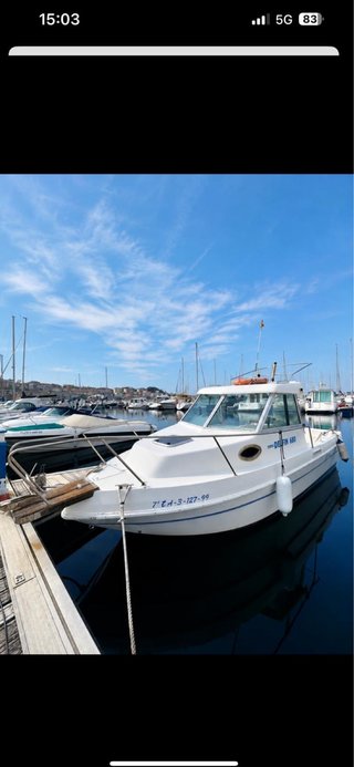 Barco Felco Delfin 6,80