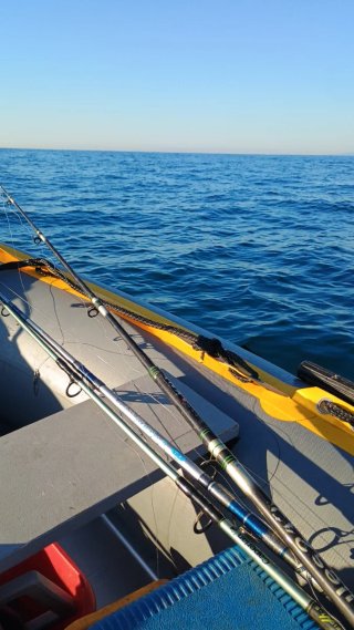 Barco con motor 2100€ con papeles y sonda