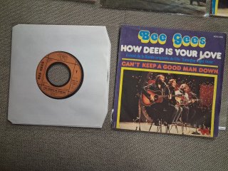 Bee Gees, Andy Gibb y Robin Gibb: lote 8 vinilos