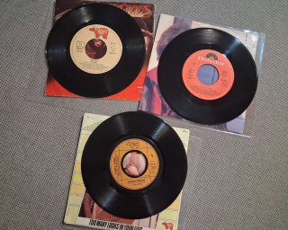 Bee Gees, Andy Gibb y Robin Gibb: lote 8 vinilos
