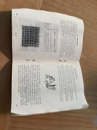 Manual Instrucciones Máquina Coser Alfa B