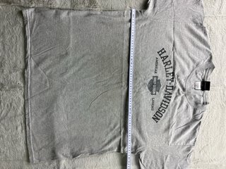 Camiseta Harley-Davidson Gris
