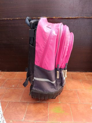 Mochila con ruedas y asa extensible
