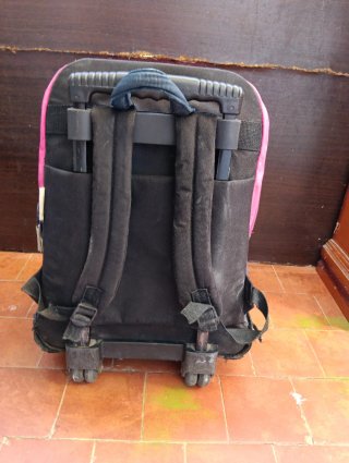Mochila con ruedas y asa extensible