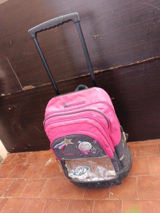 Mochila con ruedas y asa extensible