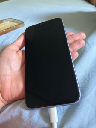 iPhone 11 Viola