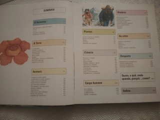 Livro Infantil 100 Perguntas e Respostas Usado