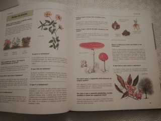 Livro Infantil 100 Perguntas e Respostas Usado