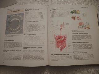 Livro Infantil 100 Perguntas e Respostas Usado