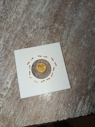 Moneda de Oro Papa Juan 23