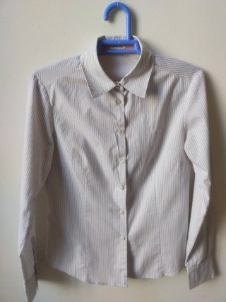 Camisa Raya Diplomática Entallada Vintage Amichi