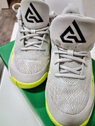 Zapatilla Baloncesto Nike Giannis Immortality 4