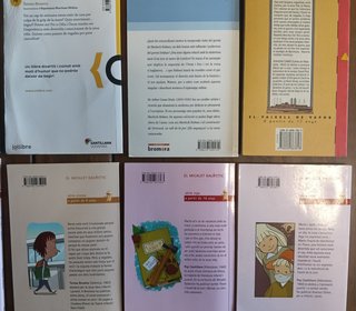 Lote de 10 libros infantiles en valenciano