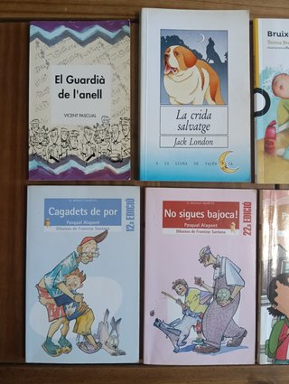 Lote de 10 libros infantiles en valenciano