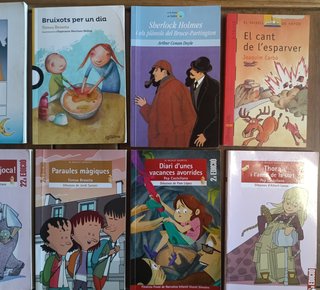 Lote de 10 libros infantiles en valenciano