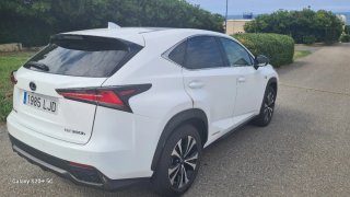 Lexus NX 2020
