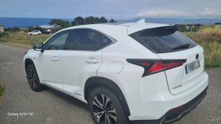 Lexus NX 2020