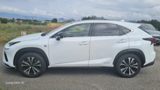 Lexus NX 2020