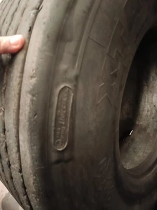 Neumático agrícola 425/55 R19.5