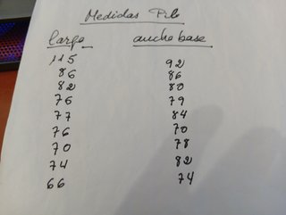LOTE DE PIELES DE CORDERO CONFECCIÓN Y MARROQUINE