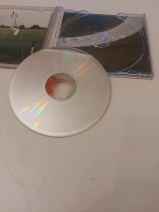 CD Ligabue Miss Mondo 1999 Originale