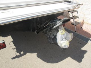 Barca Glastron GT 205 + remolque (motor averiado)