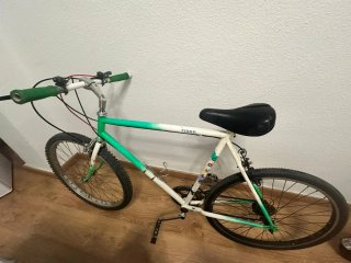 Bicicleta Tiger de Adulto