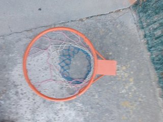 Aro de baloncesto profesional Salter
