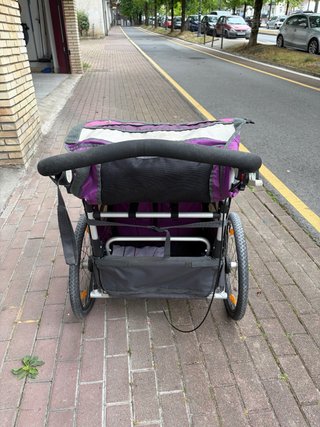 Remolque bici para niños con suspension