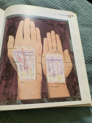 Enciclopedia Familiar de la Salud