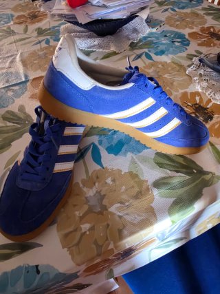Zapatillas Adidas Azul y Blanco